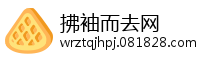 拂袖而去网
